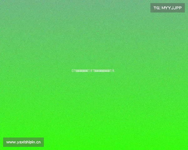 07年大众帕萨特领驭1.8T手自一体豪华版，四缸1.8...